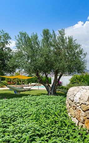 Villas familiales