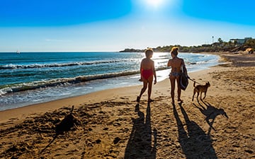Vacances avec animaux